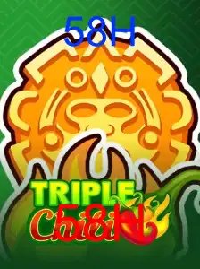 Descubra o Fascinante Mundo de TripleChili